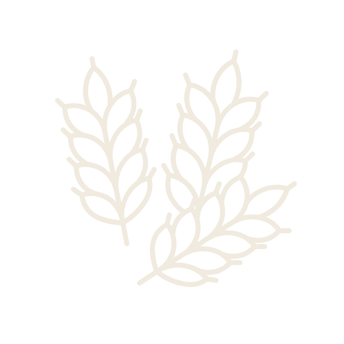 Cereale care conțin gluten