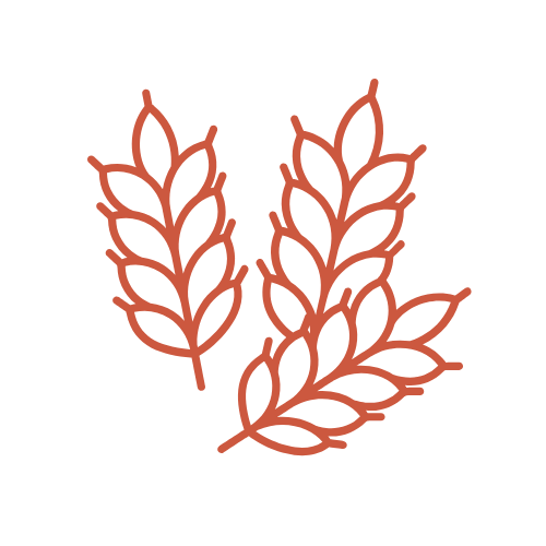 Cereale care conțin gluten