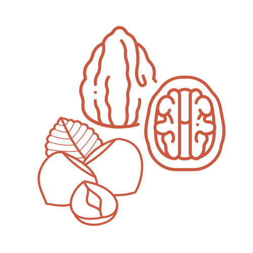 Fructe cu coajă lemnoasă